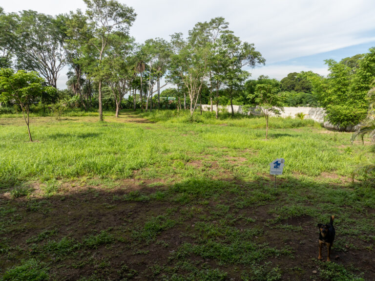 Miramar Building Lot 8 5,000 m2