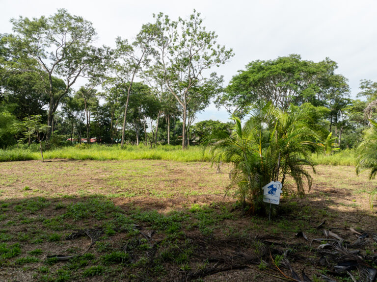 Miramar Building Lot 7 5,000 m2