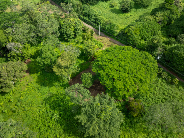 Miramar Building Lot 6 5,000 m2