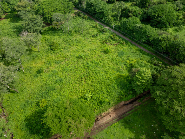 Miramar Building Lot 5    5,000 m2