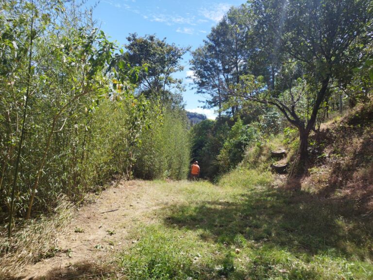 Escape to the Mountains: Your Dream Eco-Country House in Guadarrama de Desamparados